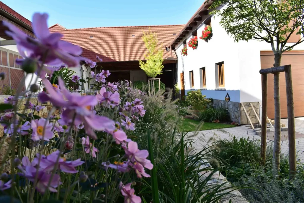 Gartengestaltung - Pflanzen - Freigeist (2)