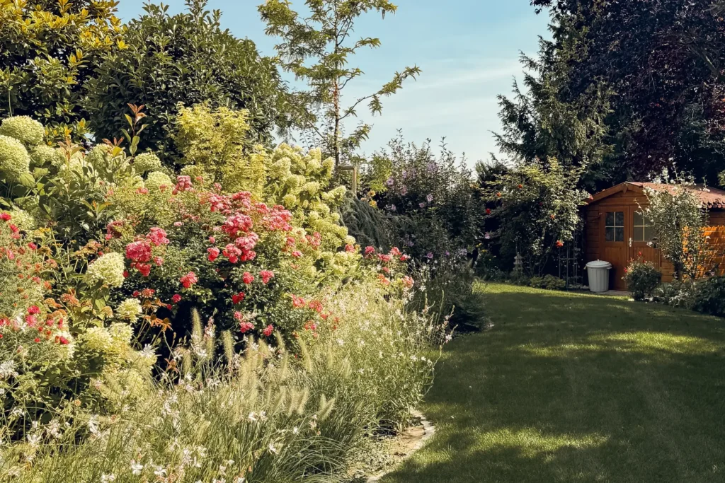 Gartenpflanzen - Freigeist Gartengestaltung
