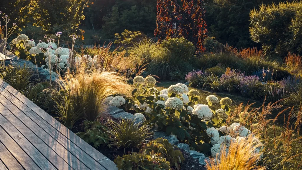 Gartenplaner Pflanzen Freigeist Gartengestaltung