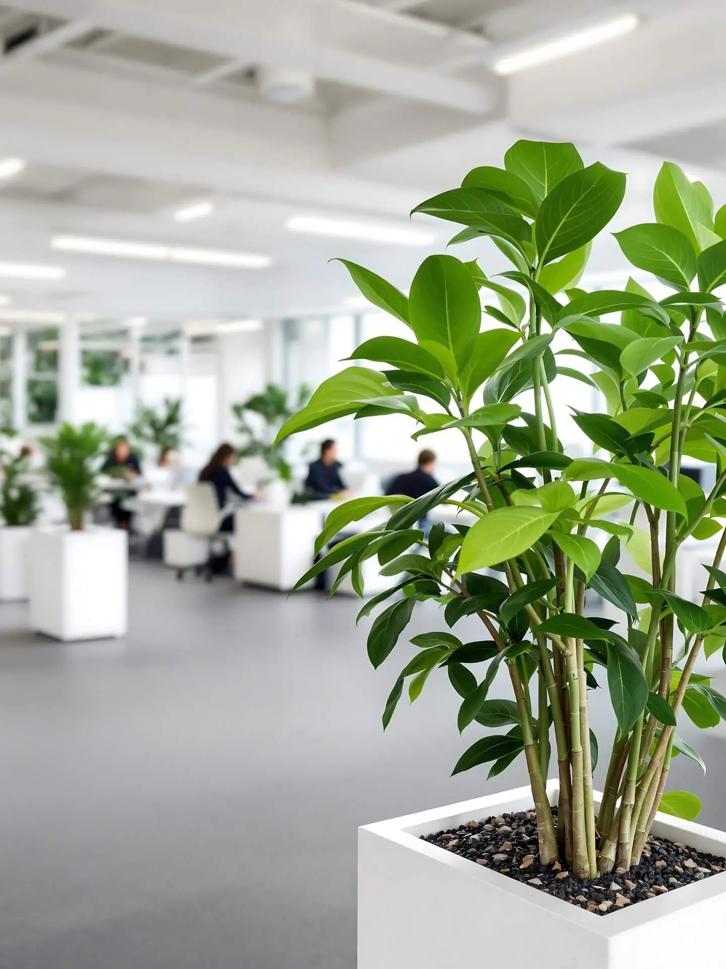 Indoor Bepflanzung - Freigeist Gartengestaltung (1)