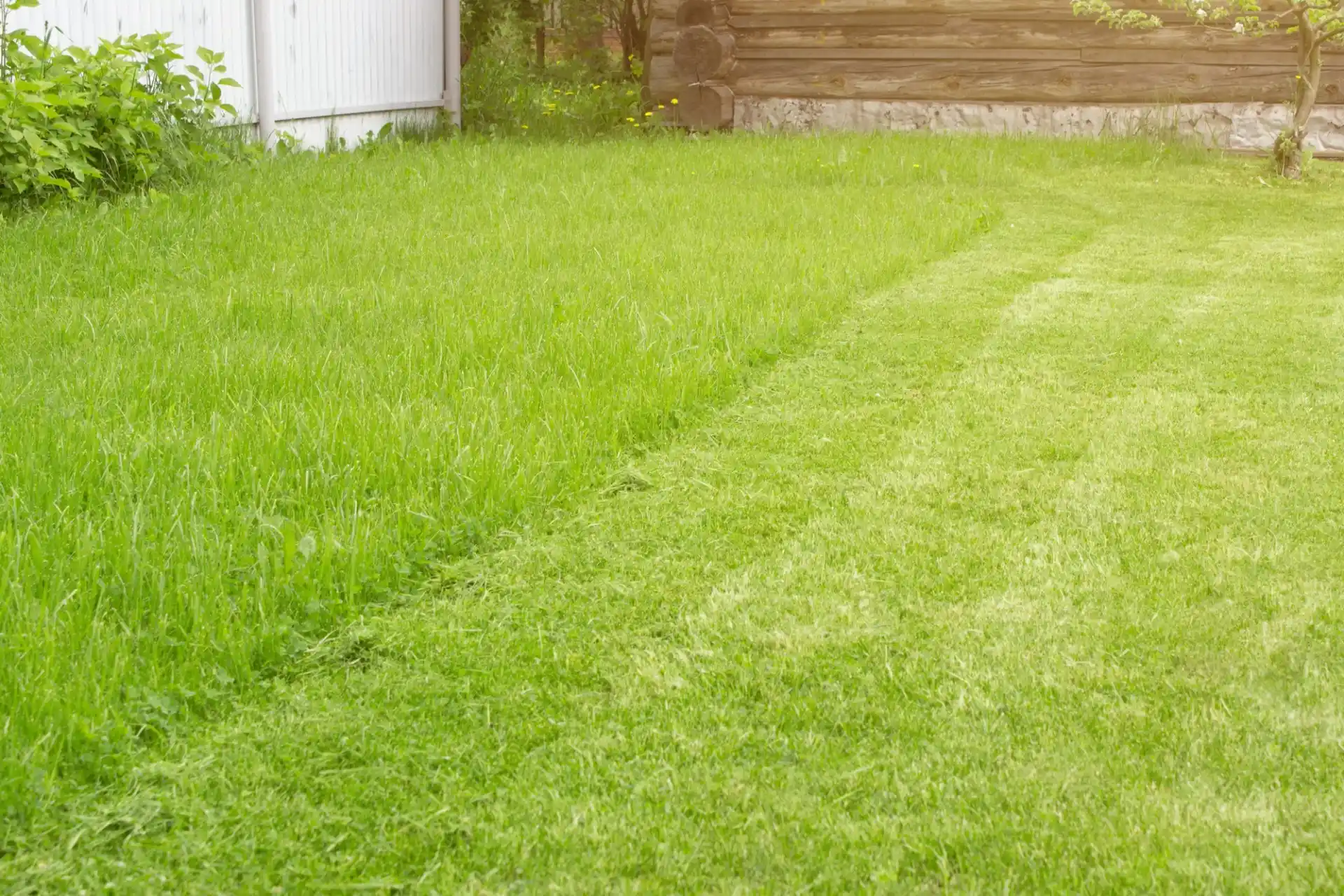 Rasenpflege - Freigeist Gartengestaltung