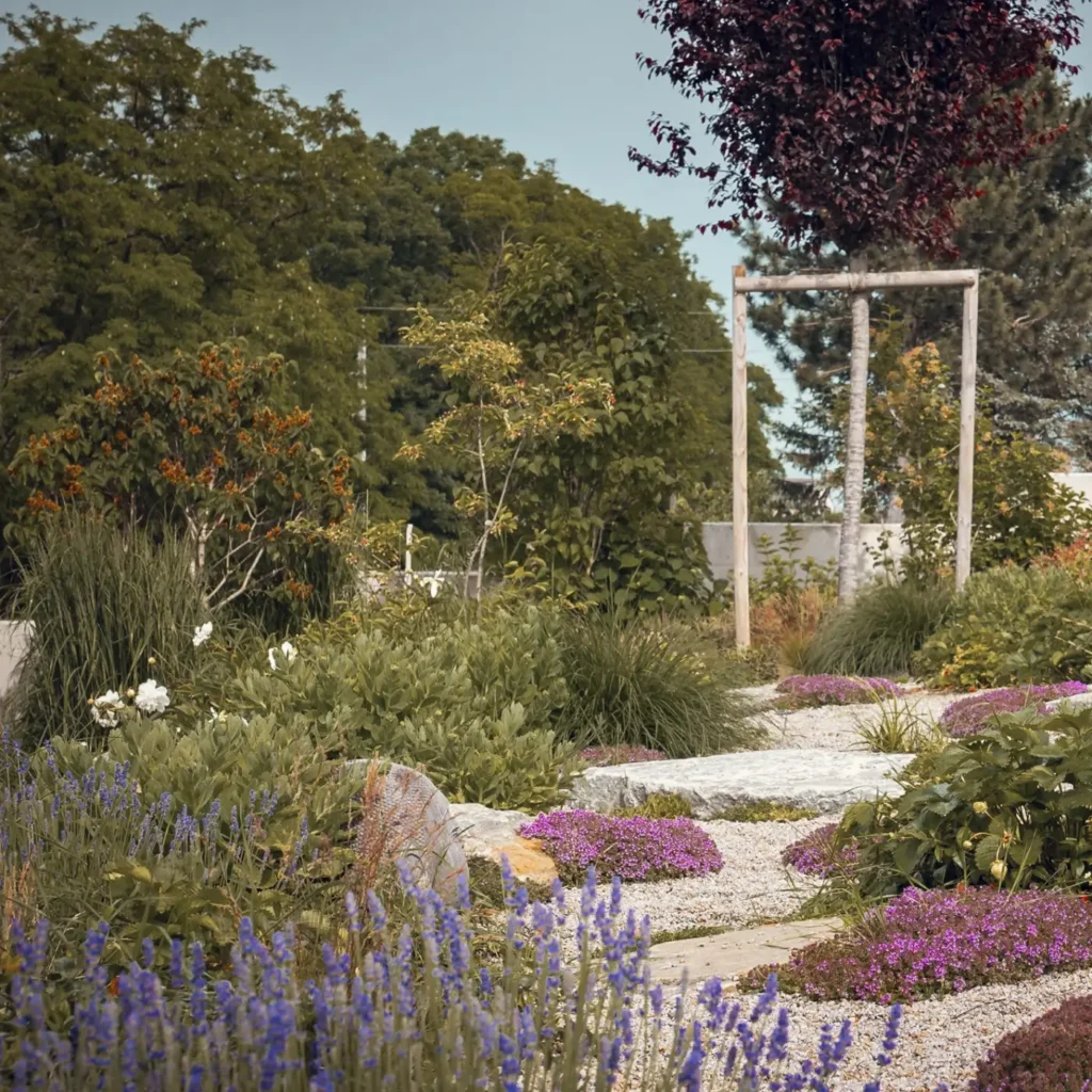 Stauden - Gartenpflanzen - Freigeist Gartengestaltung